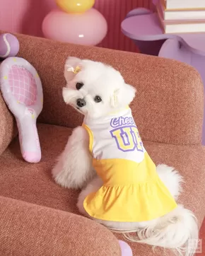금정구의 다이소 카탈로그 | 다이소 전단지 | 2025-05-23T00:00:00.000Z - 2025-06-06T00:00:00.000Z